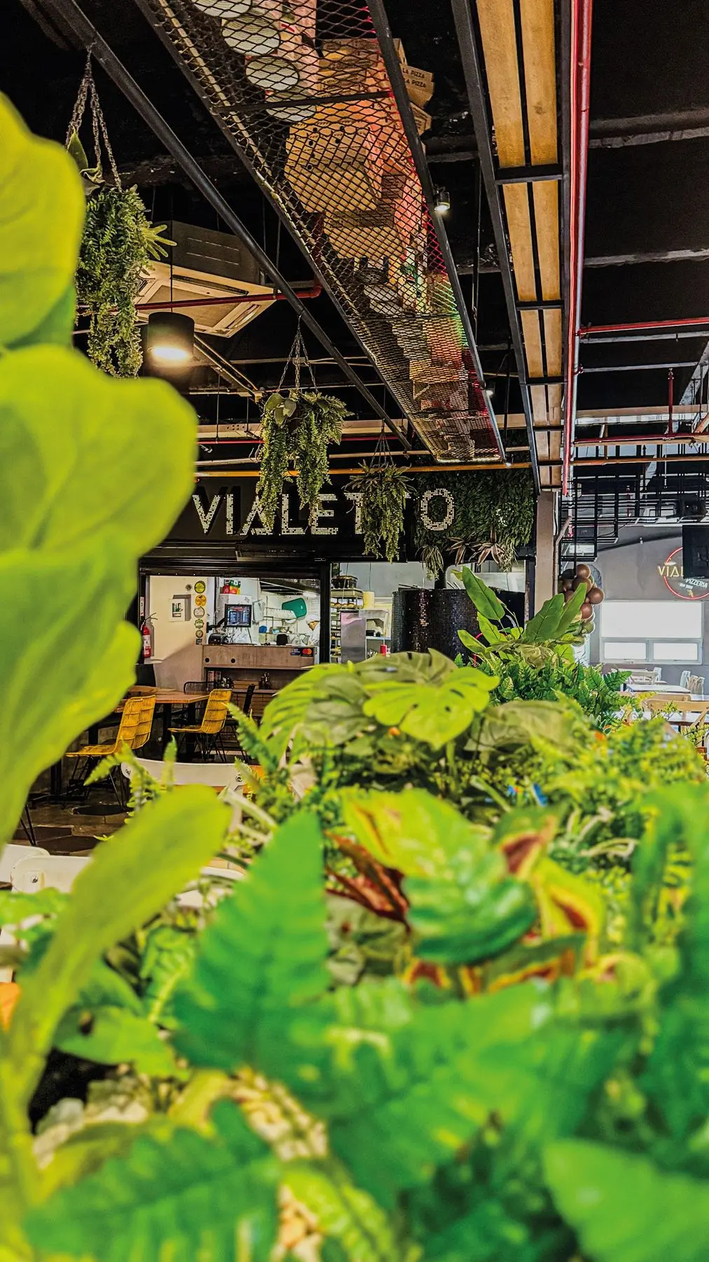 El letrero de VIALETTO entre plantas